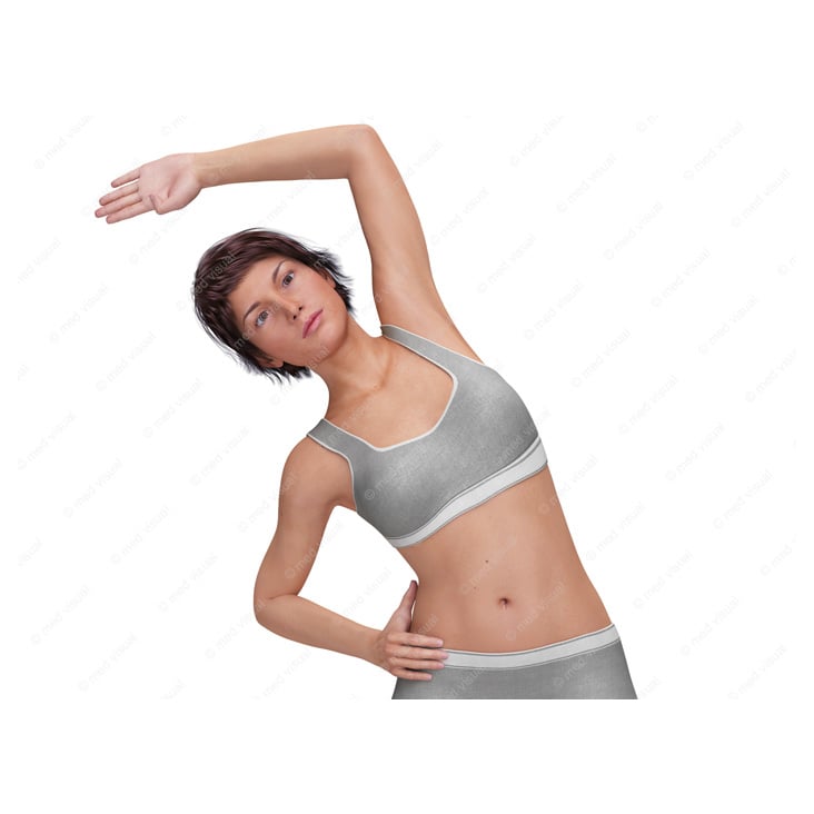 Dehnübungen und Stretching – Anleitungsillustrationen: Dehnen-Positionen