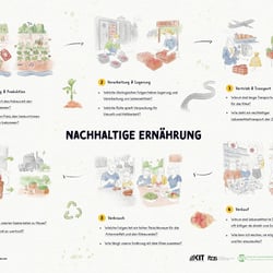 Gesamtübersicht der Infografik „Nachhaltige Ernährungsketten“