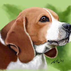 Digitales – Painting – Beagle Portrait