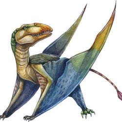 Dimorphodon
