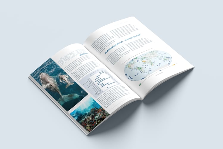 OfG InDesign Masterclass – Modulaufgabe M3