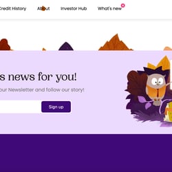 Website illustrations