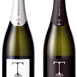 Terre Thuria / Label Design
