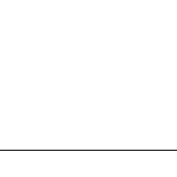 L O G O. Simone Zimbardo signature