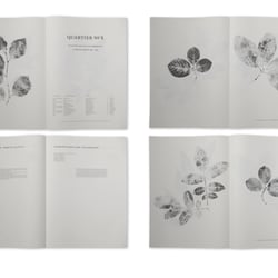 Dasauge Portfolio Bücher8