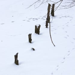 Spuren im verschneiten See