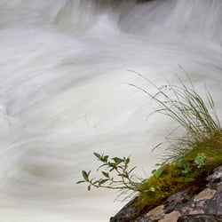 Wasserbewegung