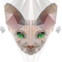 Phynx Cat Geometric