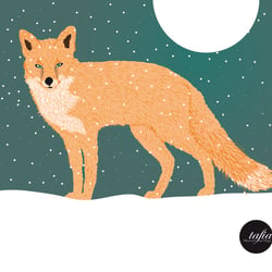 fox