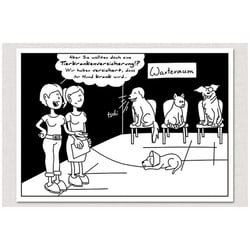 Comic, Versicherung