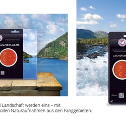 Die Bildwelt