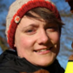 Webdesign – Waldschutz mit Hund