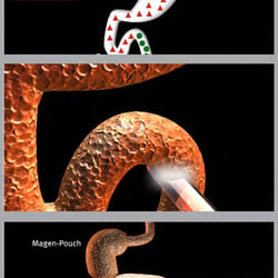 Medizinische Illustration / 3D Cinema 4D