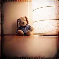 The Teddy