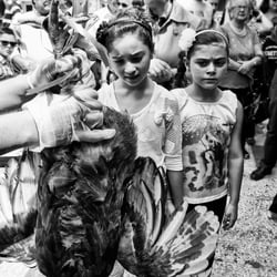 Festivals in Sicily