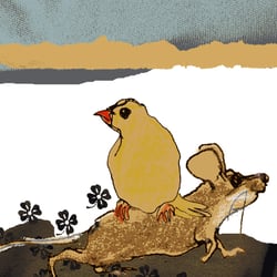 Kinderbuch Maus und Piep Sabrina Romstätter-Autor und Illustrator