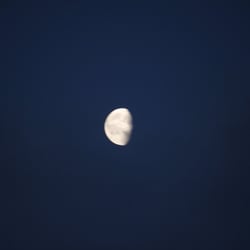 Natur 2012 Mond 02