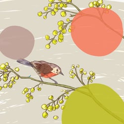 bird