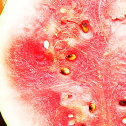 Food Fotografie 2012 Wassermelone 01