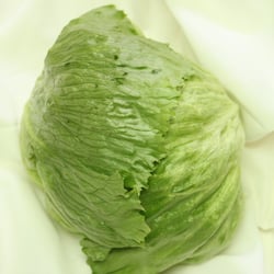 Eisbergsalat Nov. 2012