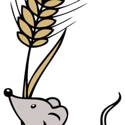 Illustration Maus