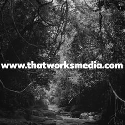 Website—That Works Media