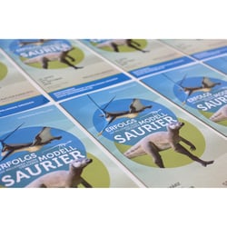 Senckenberg Flyer