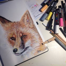 Fuchs Entwurf Digitalprint