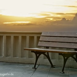 Warmer Bench