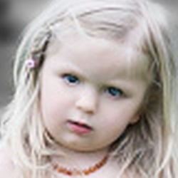 Created & Copyrights by Stephanie Meier