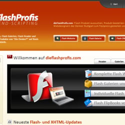 Die Flashprofis