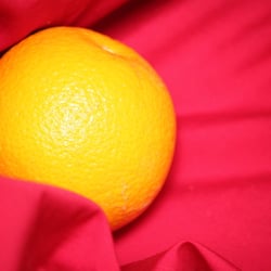 Food Photography 2012