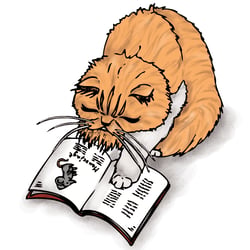 Katzen