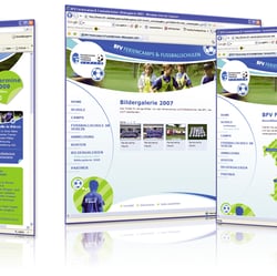 Webseite, BFV, 2008