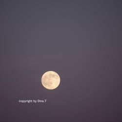 Moon – Jun. 2014 © by Dina.T