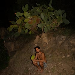 Editorial „Soft Animal“