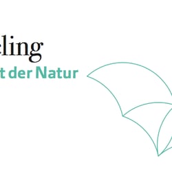 Logo und CD beautywellfeeling