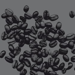 Kaffeebohnen