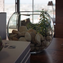 Office Stone Garden 02 final