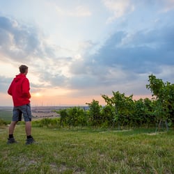 Image Fotografie Weingut Wernersbach