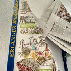Comicreportage Botanischer Garten Erlangen Panel Fertig