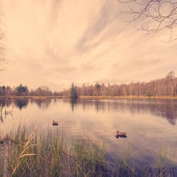 See-Landschaft im Herbst