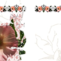 Illustration/Buch