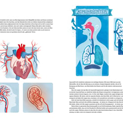 Illustrationen Broschüre „Körper“/Layout: Eileen Frühauf_Stiftung Haus der kleinen Forscher