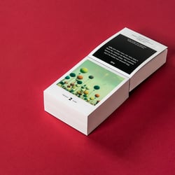 Photodarium 2017