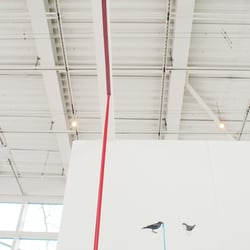 Ausstellungen