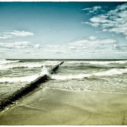 Landscapes