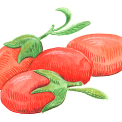 Concept-Illustrationen