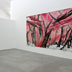 Susanne Vielmetter Berlin Projects
