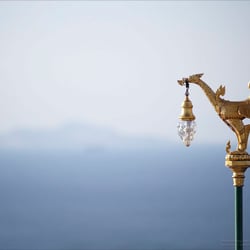 Drachenlampe